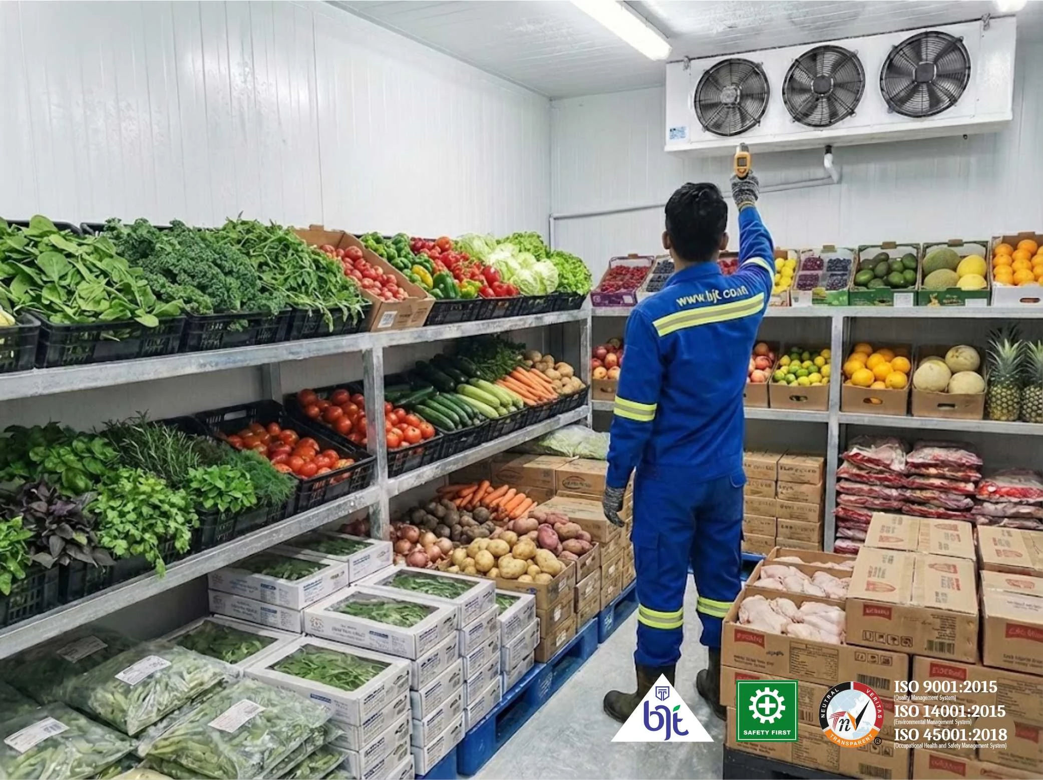 Cold Storage Freezer dan Aplikasinya untuk Dunia Usaha
